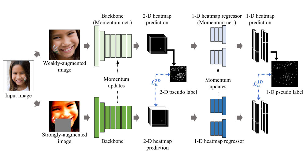 HybridMatch framework combining 2-D and 1-D heatmap predictions for facial landmarks.