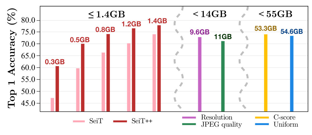 Accuracy and training-data storage comparison from the SeiT++ paper.